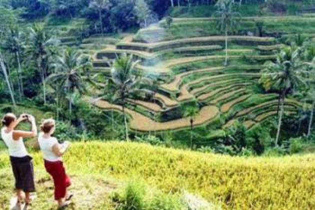 Pertumbuhan Ekonomi Bali Melebihi Nasional