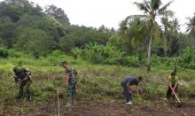 Manfaatkan Lahan Tidur, Dispertanak Ajak Pemuda Bertani