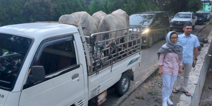 PT KIMONG dan YSM Bagikan Hewan Kurban