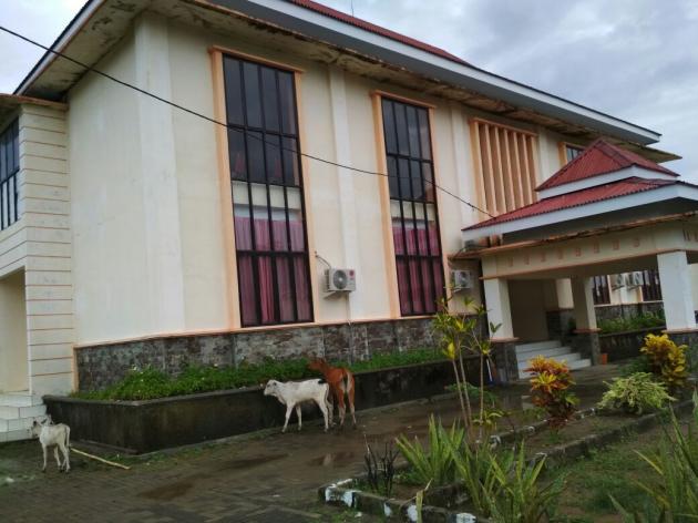 Hewan Ternak berkeliaran di lokasi perkantoran SKPD Bolsel