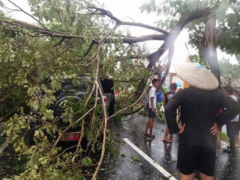 Mobil Dinas PU Tertimpa Pohon