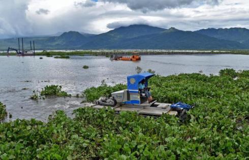 Eceng Gondok DI Danau Tondano Akan Diatasi   