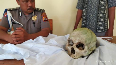 Astaga, Hendak Cari Bibit Mangrove, Mateos Tak Sengaja   Dapat Tengkorak  Manusia 