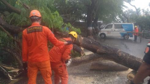 Intensitas Hujan Tinggi Waspada Banjir dan Pohon Tumbang