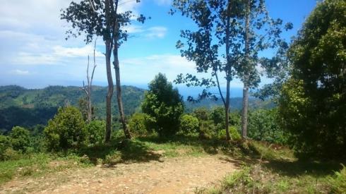 Disnaker Siap Fasilitasi Eks Karyawan PT KKP