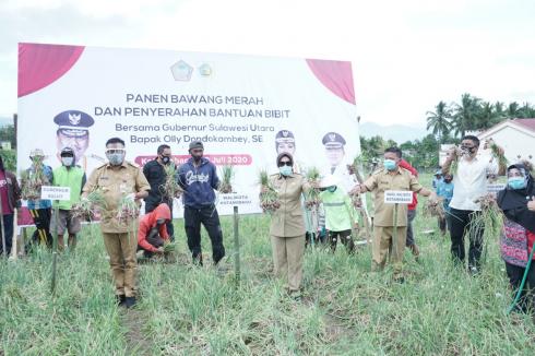 Peluang Besar, Potensi Bawang Merah Menjanjikan