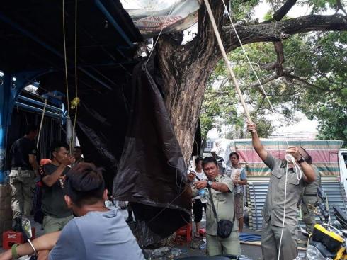 Kios di Eks Bioskop Benteng Ditertibkan