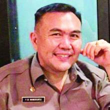 Pohon Bikin Rusak Jalan, DLH Langsung Bertindak