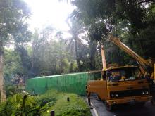 Tronton Terguling Macetkan Jalan Tomohon