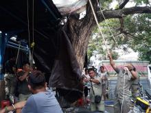 Kios di Eks Bioskop Benteng Ditertibkan