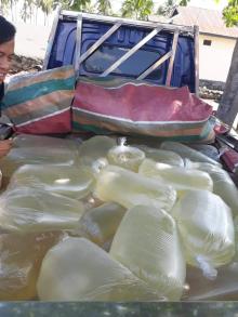 Ribuan Liter Miras Jenis Cap Tikus  Gagal Diselundupkan