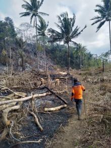 Karhutla Minut 250 Haktar Hangus Terbakar