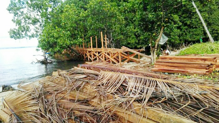 Wisata Mangrove BOlsel1 Wisata Mangrove BOlsel1